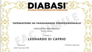 DIPLOMA BIENNALE PROFESSIONALE